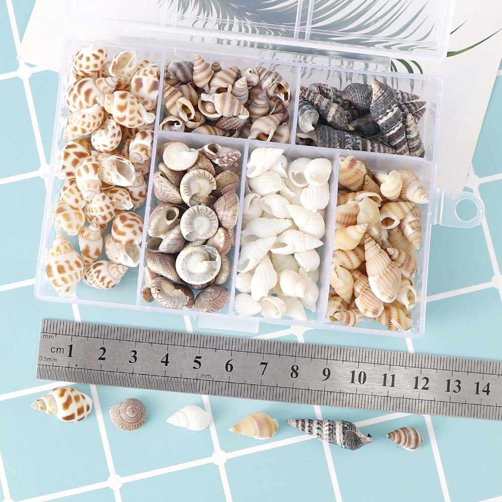 100g Mixed Shell Conch Resin Mold Accessories Decoration